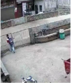 #贵州9岁走失女孩被找到#【#村民称贵州9岁走失女孩已遇难# 镇政府工作人员：具