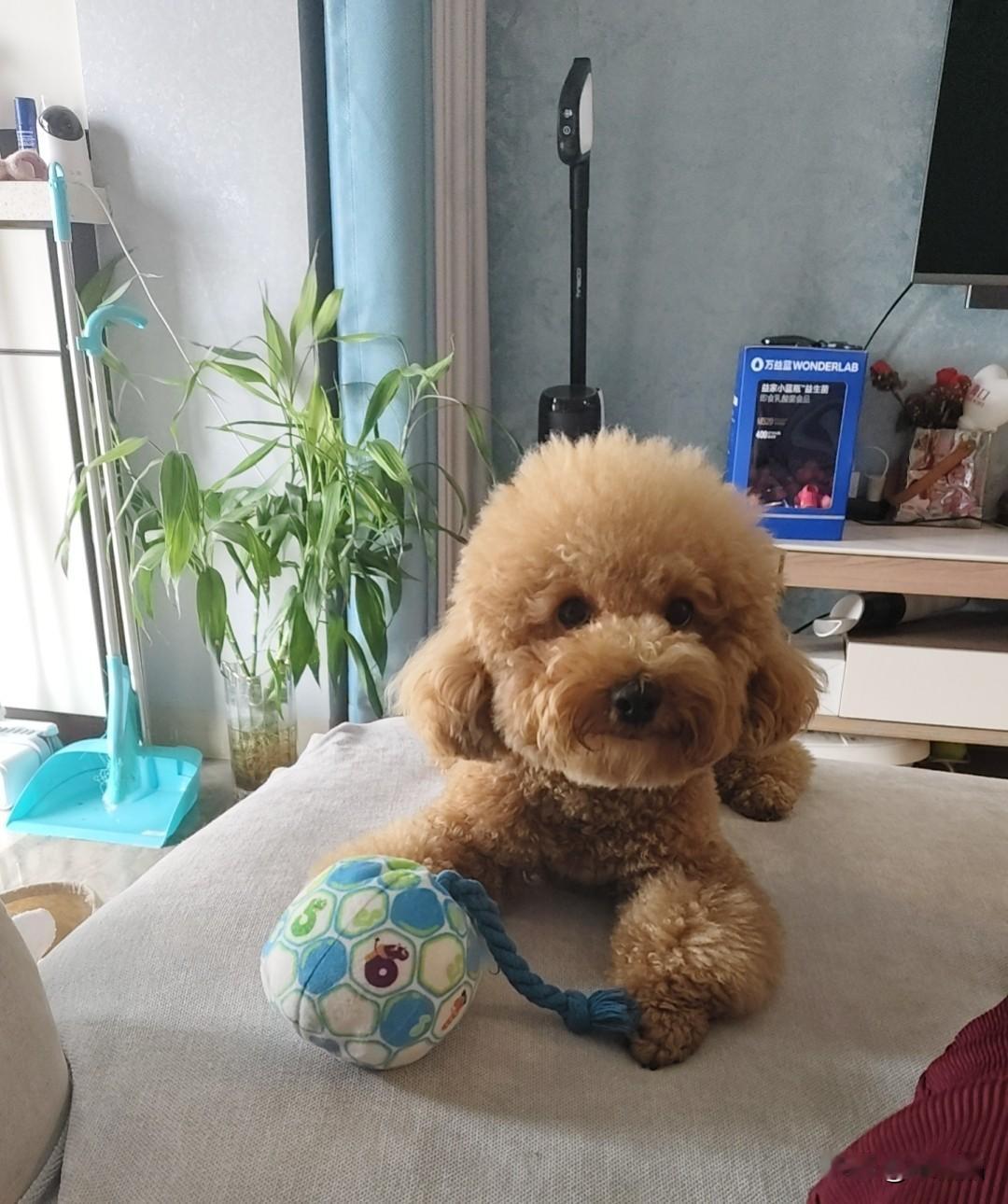 细数张老师有钱了做什么事情……大的方向捐款和支助贫困学生。小的事情……
❶带女儿