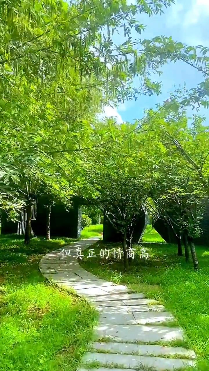 最高级的情商：真诚。
真诚才是这个世界最高级的情商。很多人说的情商高无非就是虚伪