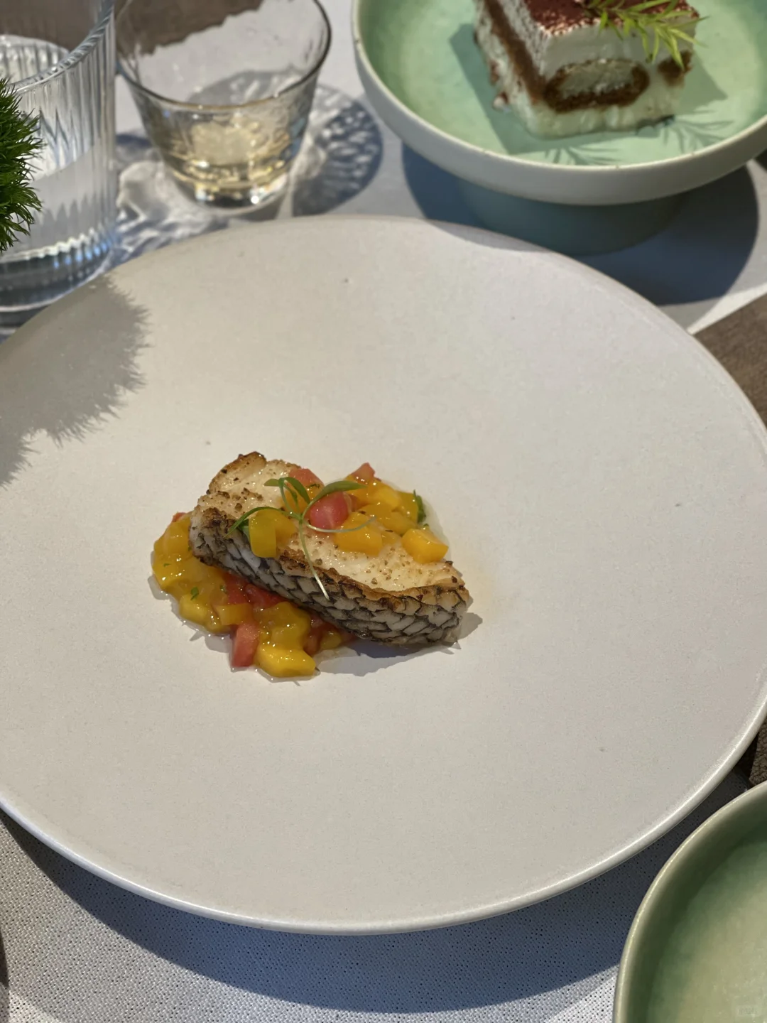 能量恢复站plus版 | 发呆 晒太阳 品茶🍵