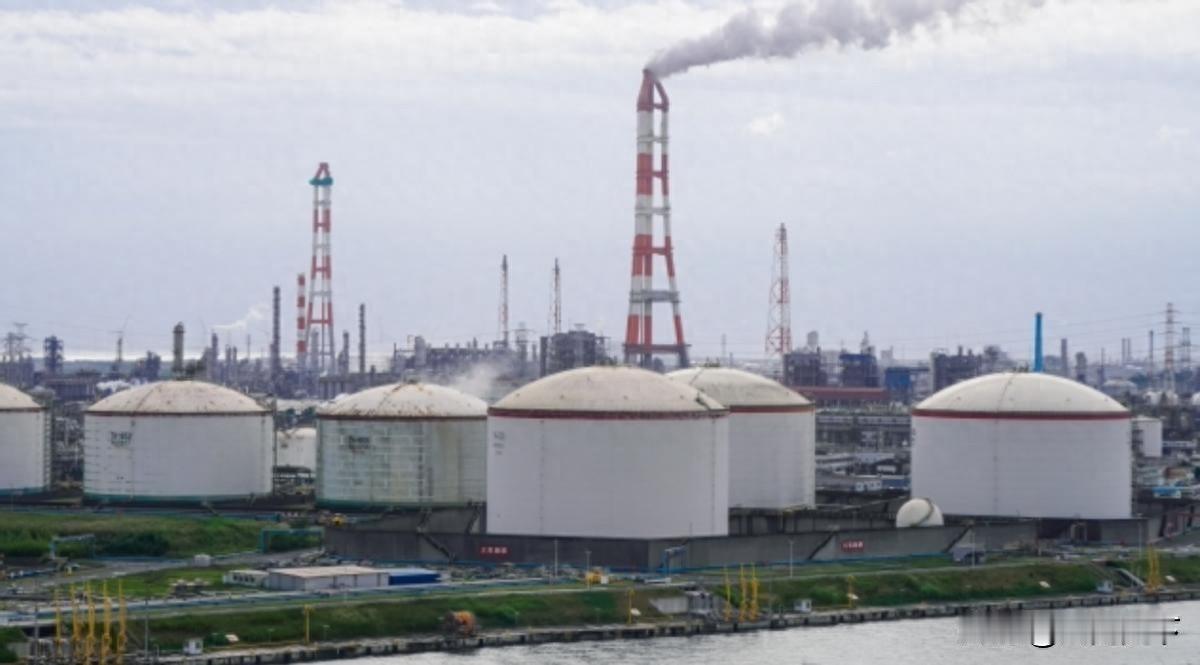 日本6月石化原料断供风声起，高市早苗急了：不缺货，价格已失控

日本这波“6月石