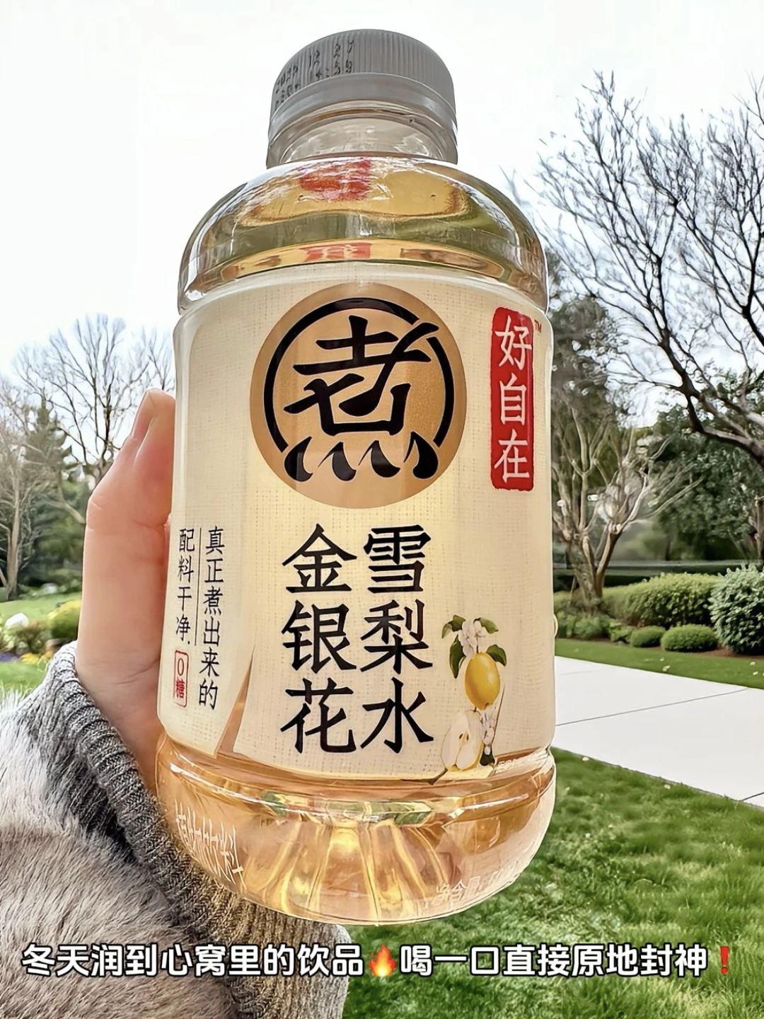 冬日续命水❗金银花雪梨水喝完整个人都润了