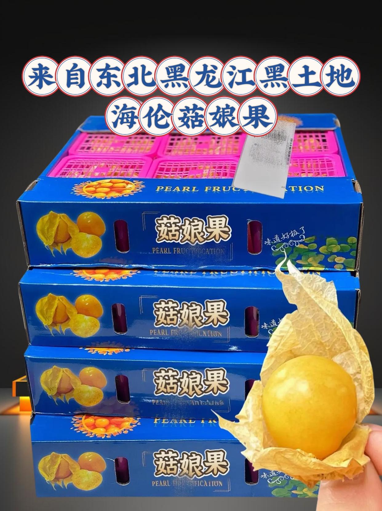 黑龙江“姑娘果”，她叫菇娘果，又称“灯笼果”！对于很多北方人来说，她是...