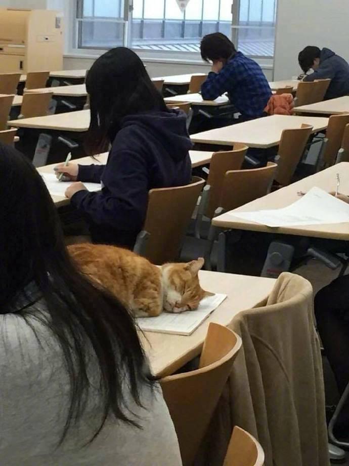 上课时的我..... 