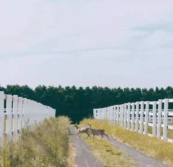 一辈子说长不长，说短不短。我们活着的，只是活着，上帝给予我们以唯一的生命，不是让