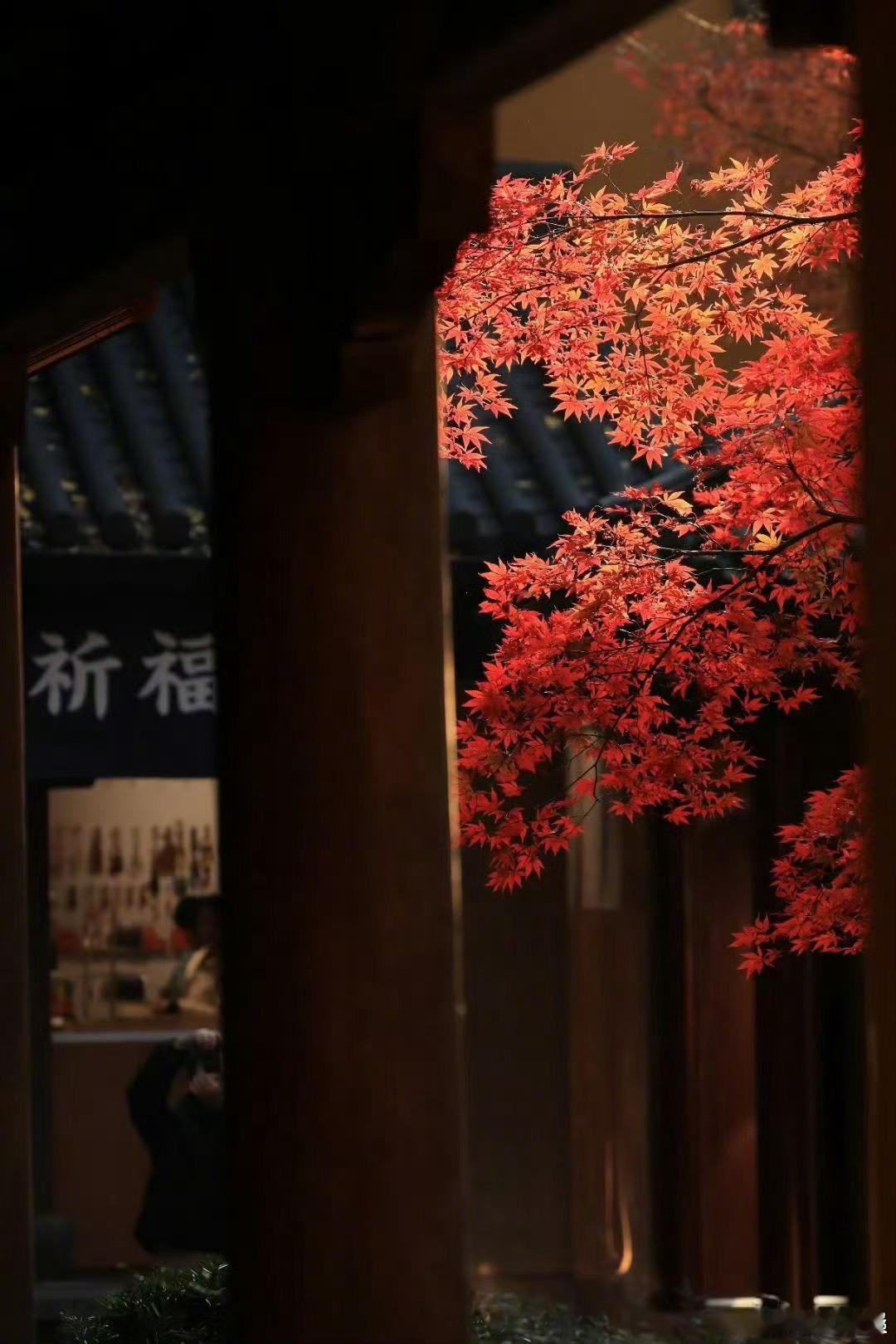灵隐寺 怎么就热搜第一了？愿世界和平，人民安好[鲜花] 