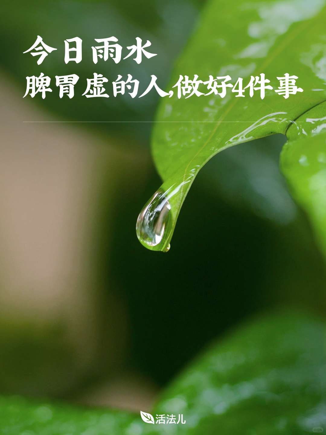 今日雨水，脾胃虚的人，记得做好4件事🍃