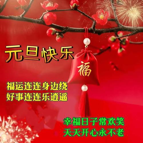 一人一句新年祝福新年新气象，把烦心事留在2025，愿2026心想事成、美梦成真！