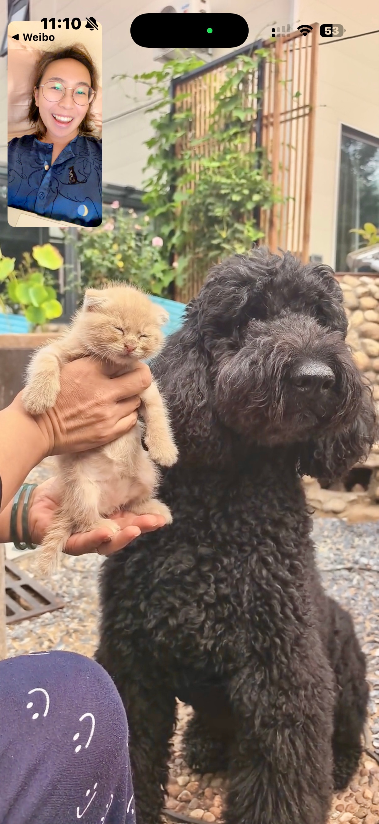 中秋快乐嘻嘻今天和小猫打电话了 ​​​