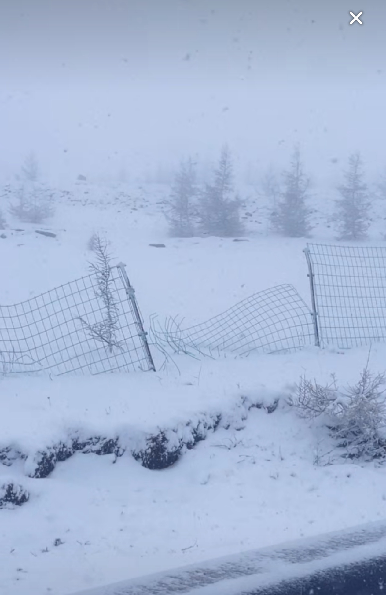 五一劳动节 假期第二天，欢迎来张家口看雪[笑而不语] ​​​