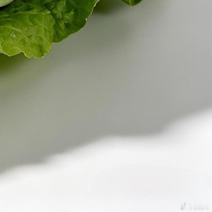 白菜种植方法一、选择土壤白菜适宜疏松透气、保水肥沃的沙质土壤，土壤pH值维持6.