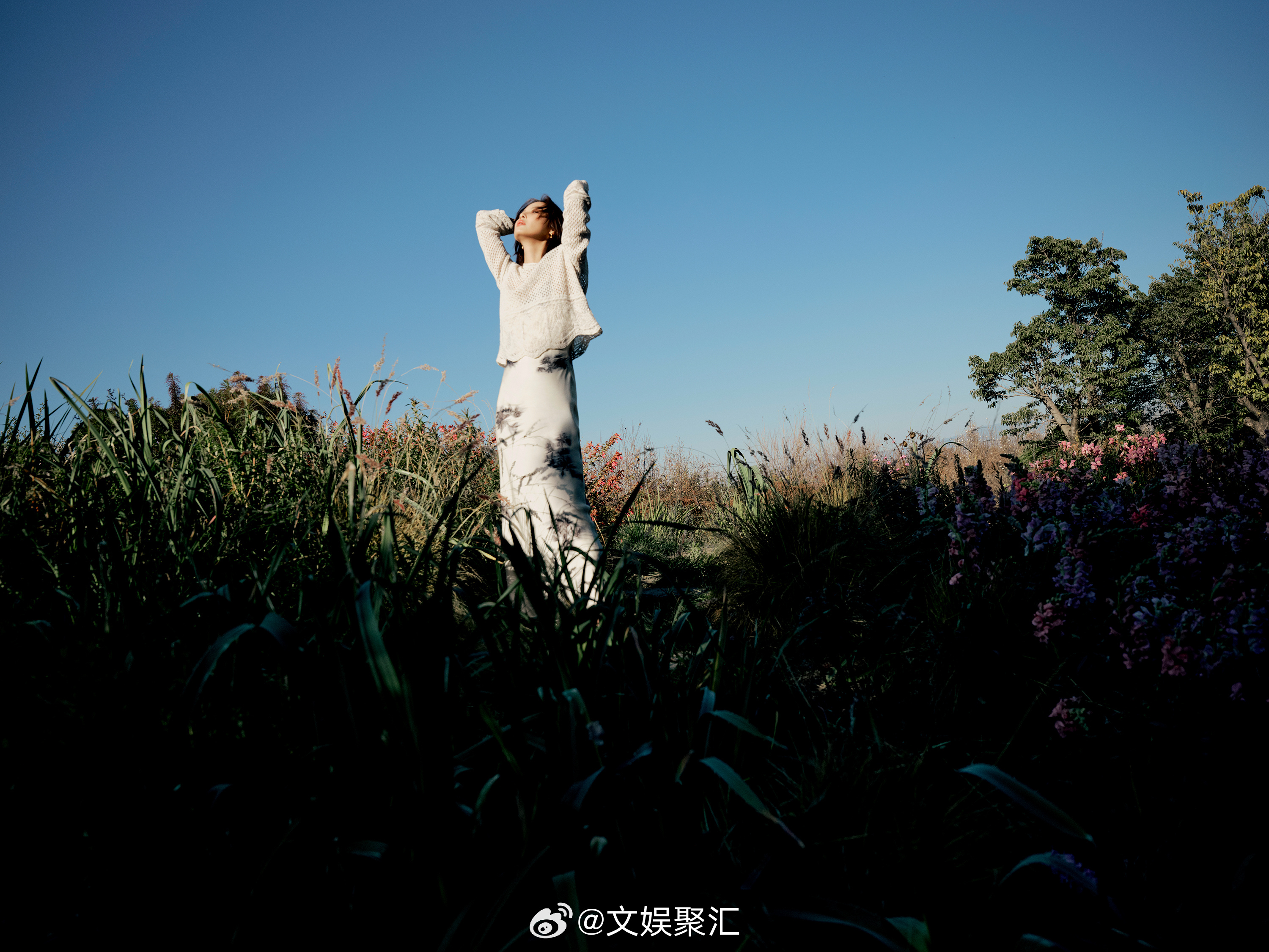 辛芷蕾野生感生命力辛芷蕾野生感大片 镜头里的辛芷蕾带着扑面而来的野生感，像天地间