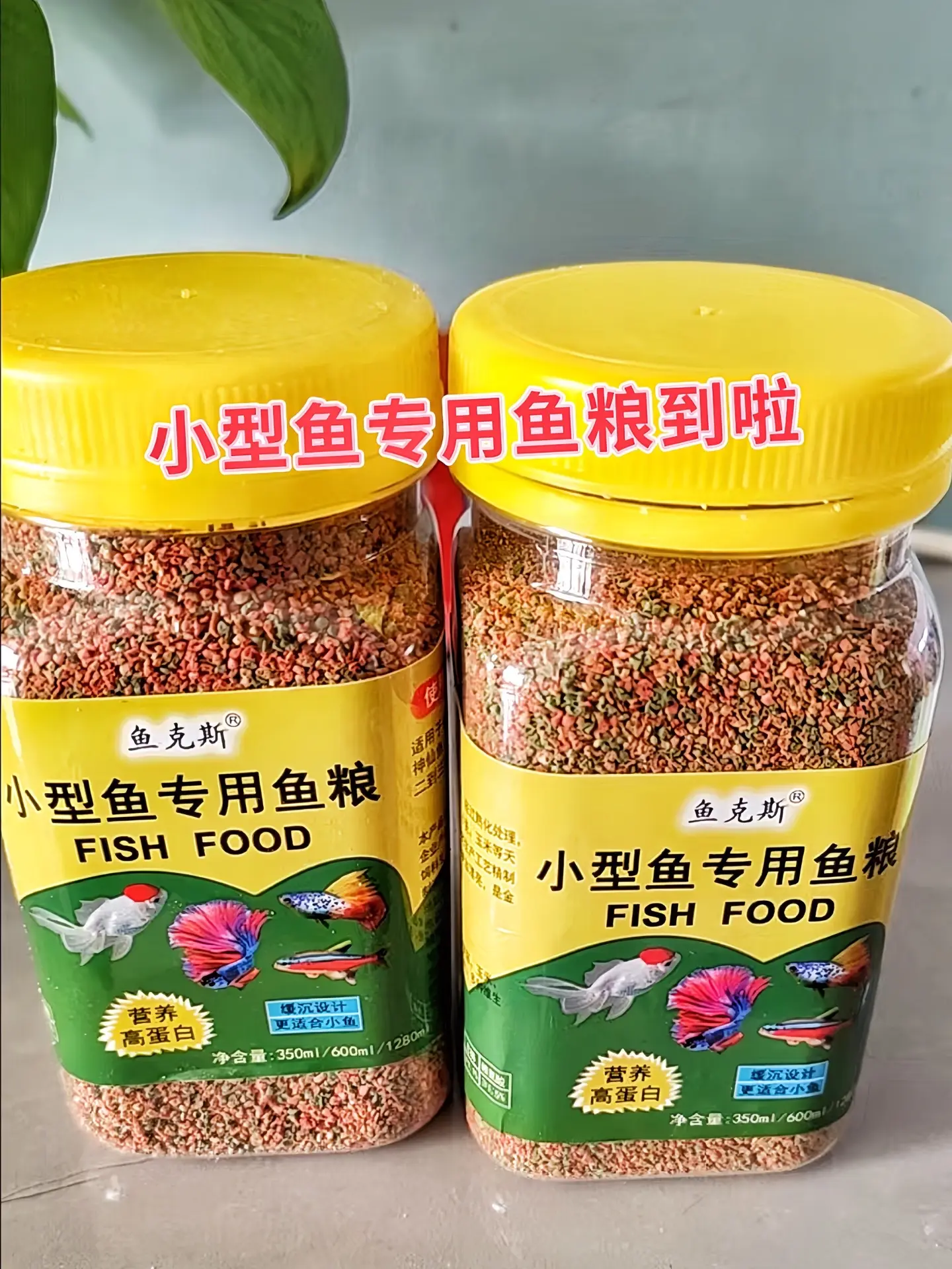 1. 小型鱼“干饭人”集合！鱼克斯小型鱼专用鱼粮来咯！精准匹配小型鱼嘴...