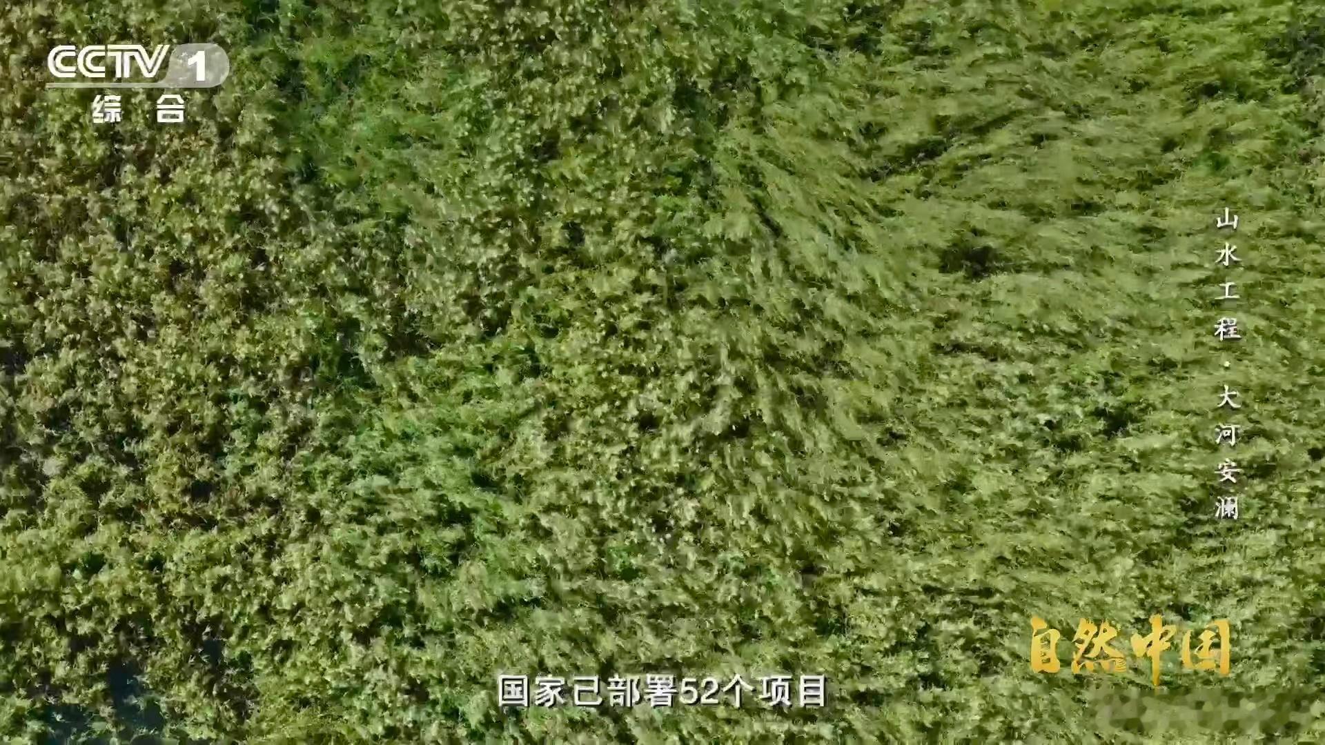 中国这项山水工程成世界范例 中国山水工程能入选联合国首批世界生态恢复旗舰项目，靠