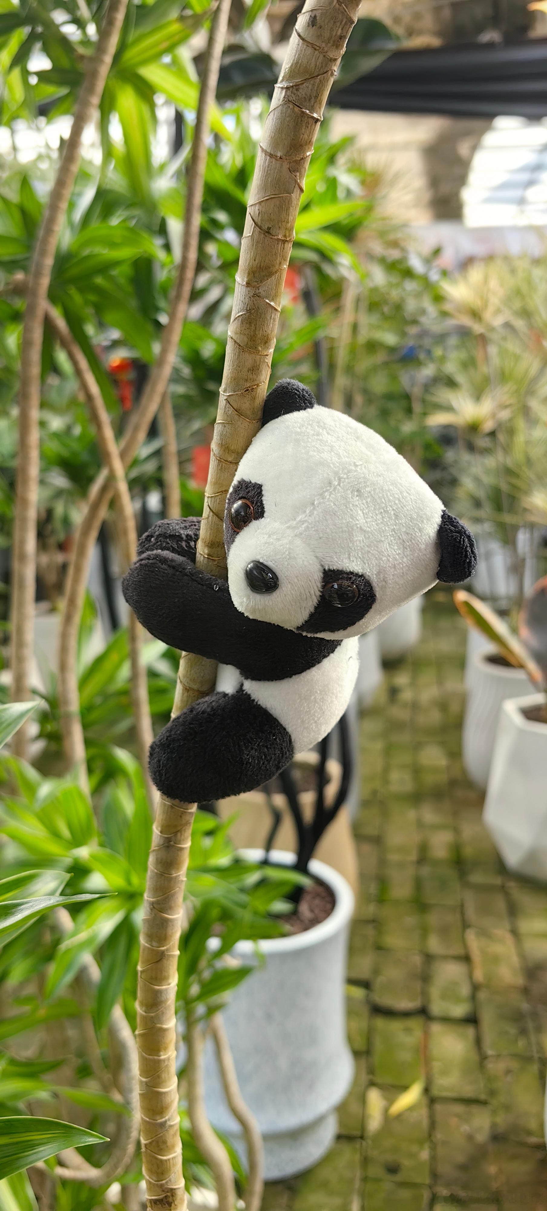 人有四不说，不说自己目标，不说自己钱财，不说自己家事，不说自己错事，守住这四个秘