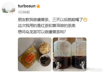 孙俪问到我的知识盲区了 孙俪晒自己做的康普茶，还问大家乌龙茶能做康普茶吗~好家伙