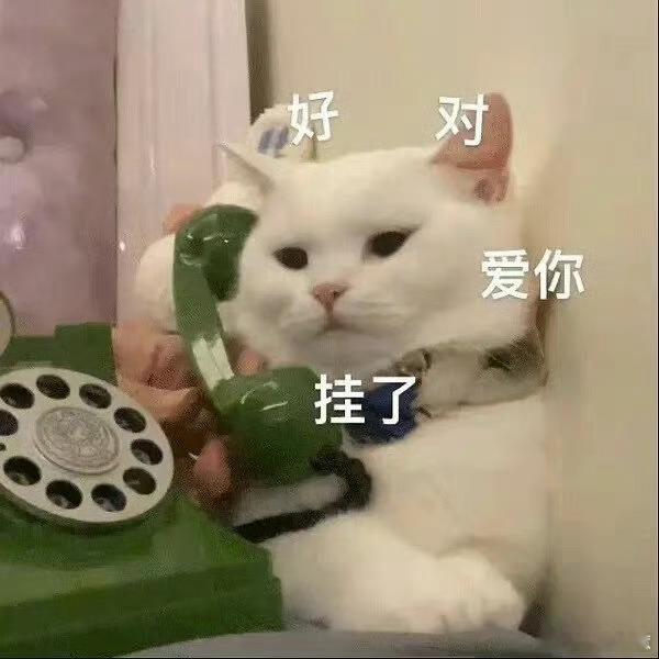 1. 尽管《狂飙》剧组与张译关系不佳，张颂文仍包场支持其电影，赞赏张译的专业态度