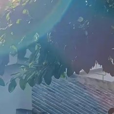 阳光信用 阳光有幸，不负前行 