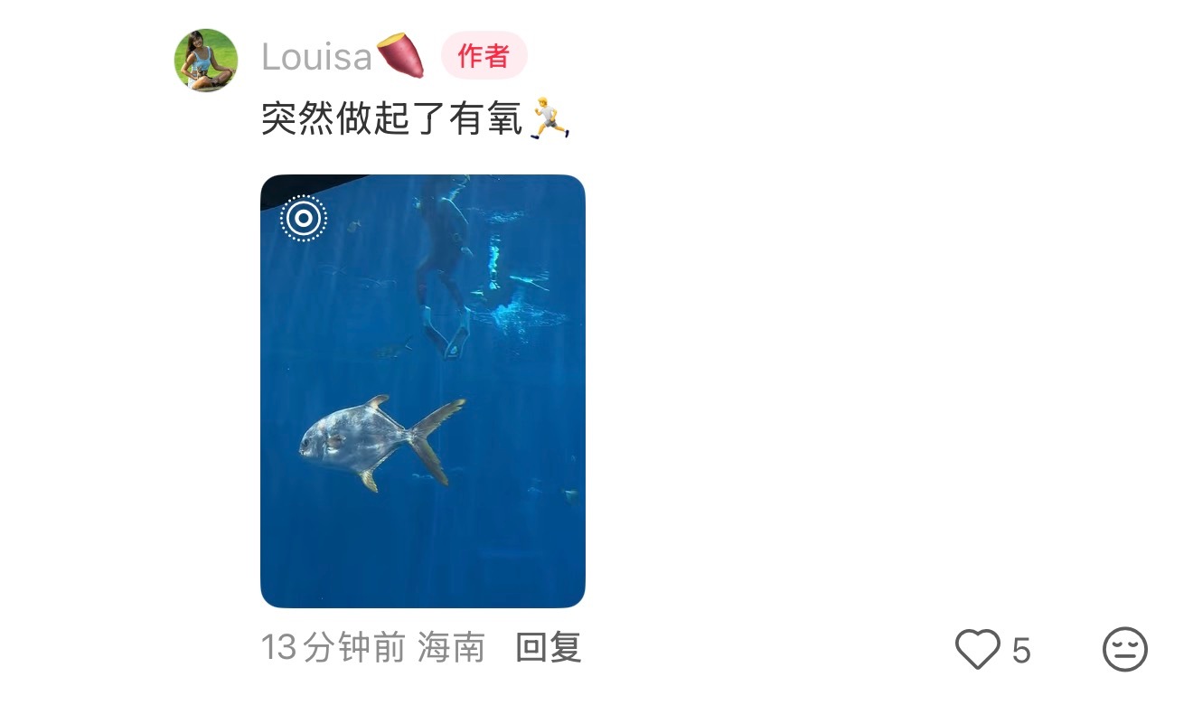 场馆工作人员视角，接下来就等工作室的唯一视角了水族馆的男美人鱼竟然是吴磊