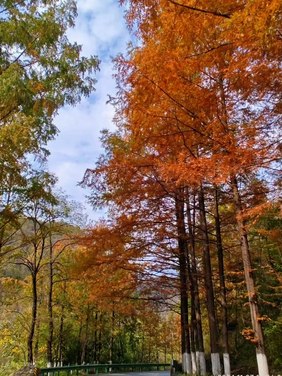 下一站汉中留坝赏秋｜2天1晚游玩攻略