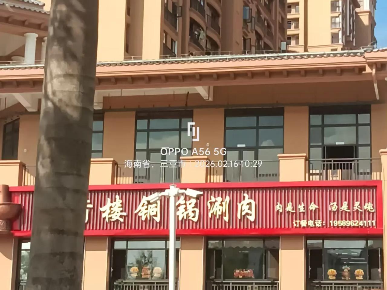 新春来抓马 我的足迹地图