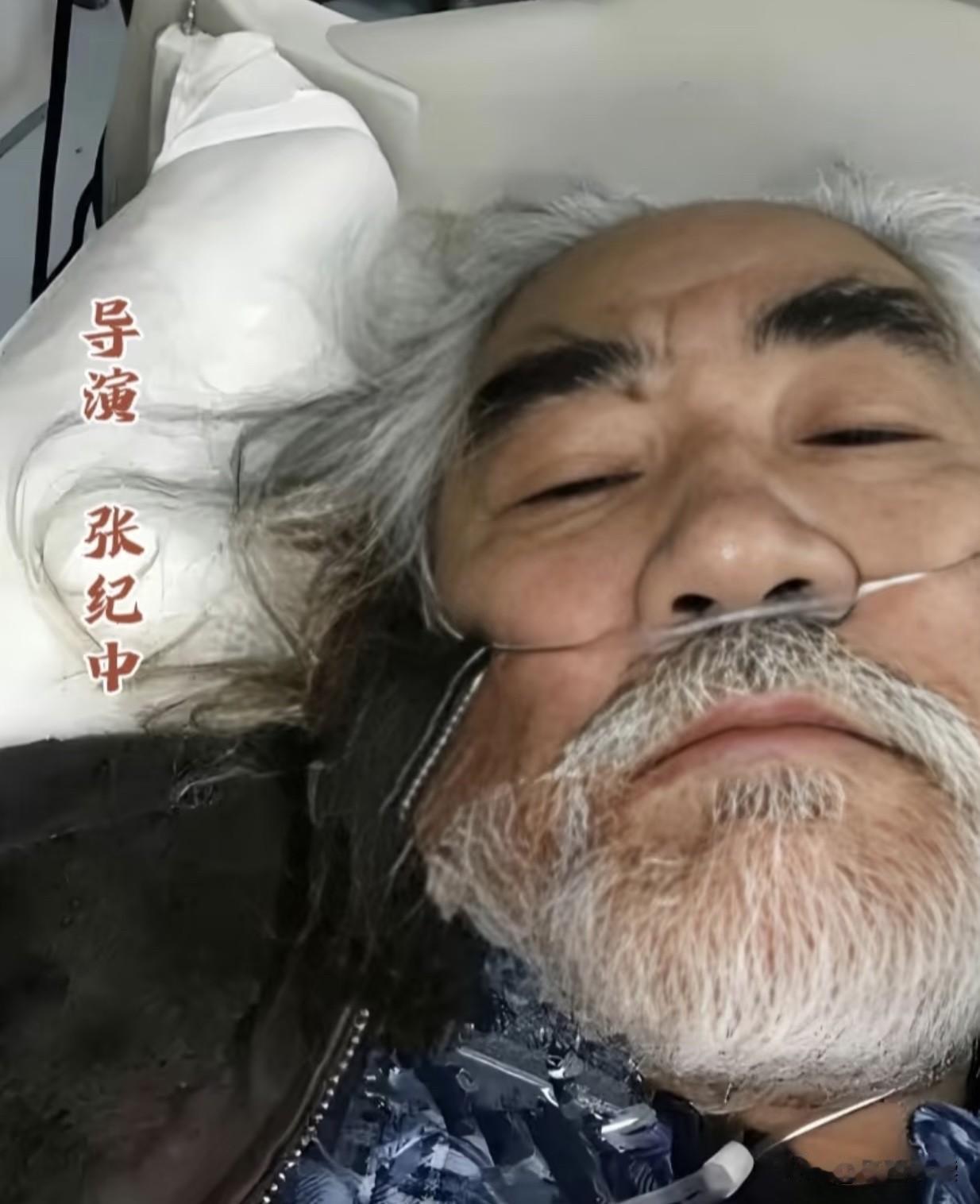 张导，你不能就这样倒下啊，家里还有妻儿老小，一大堆人靠你养活啊！