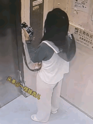 这种攻击人的小狗，就该安乐死吧！