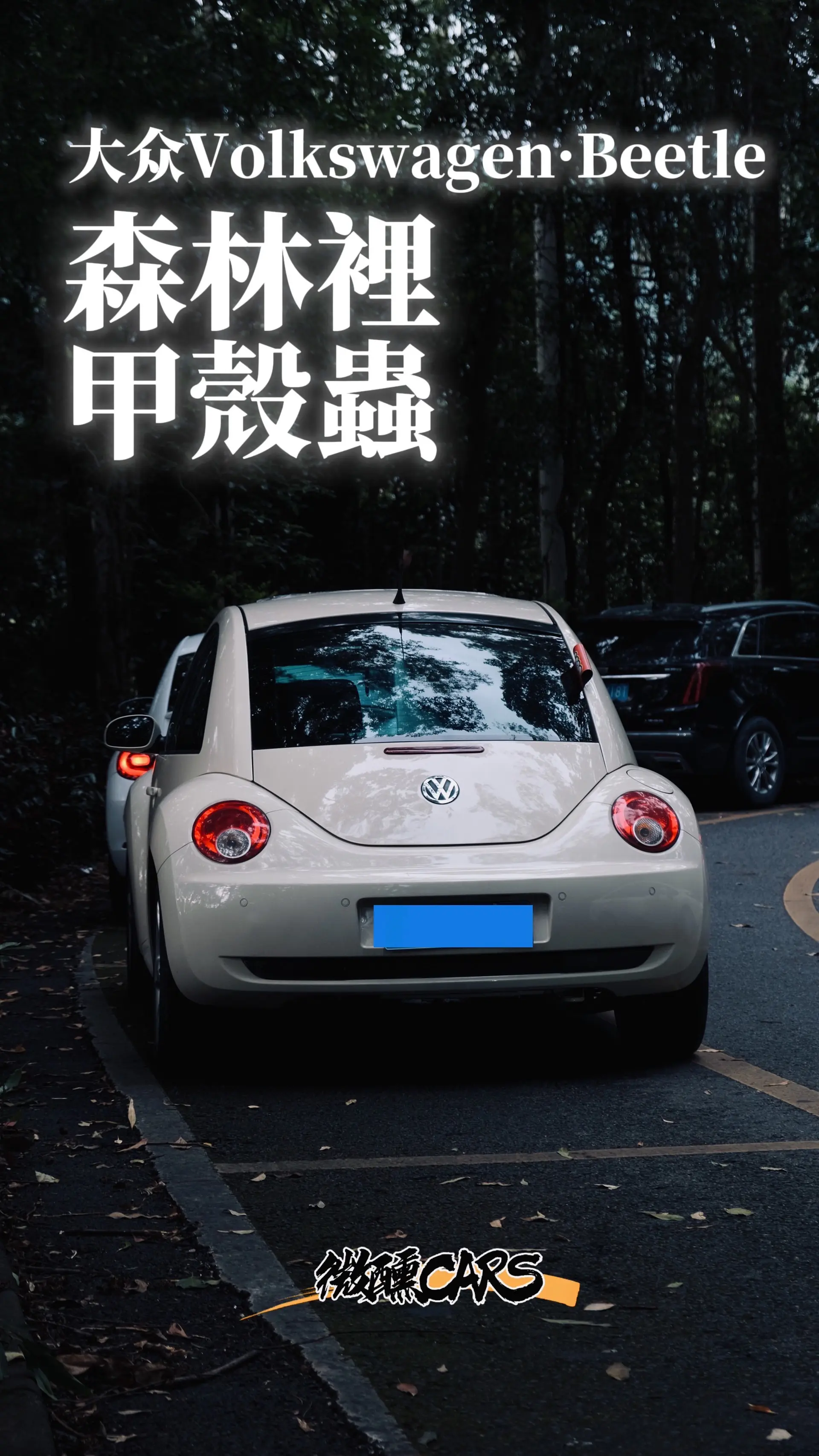 既然喜欢，那么就要包容它的所有缺点！