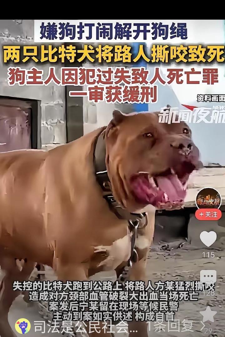 烈性犬咬死路人仅判缓刑，路人出行安全感在哪
 
重庆那个被比特犬咬死的路人，案子