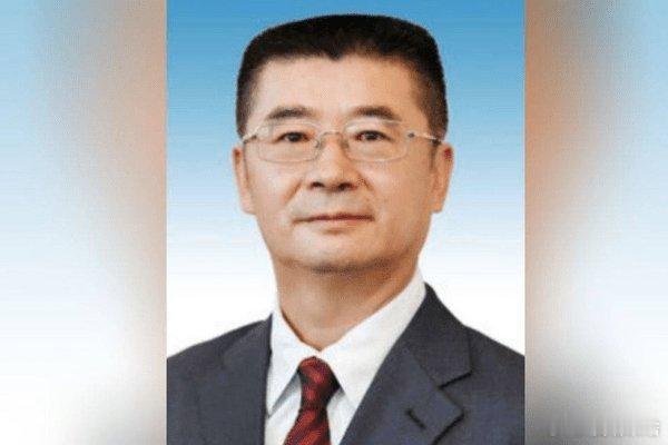 他主动投案呐.还是挺明知的......搜狐新闻:【打虎！杨宏勇主动投案 - 搜狐