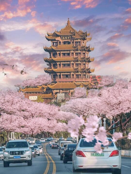 话虽然难听，🥹但的确是武汉旅游现状。。。…