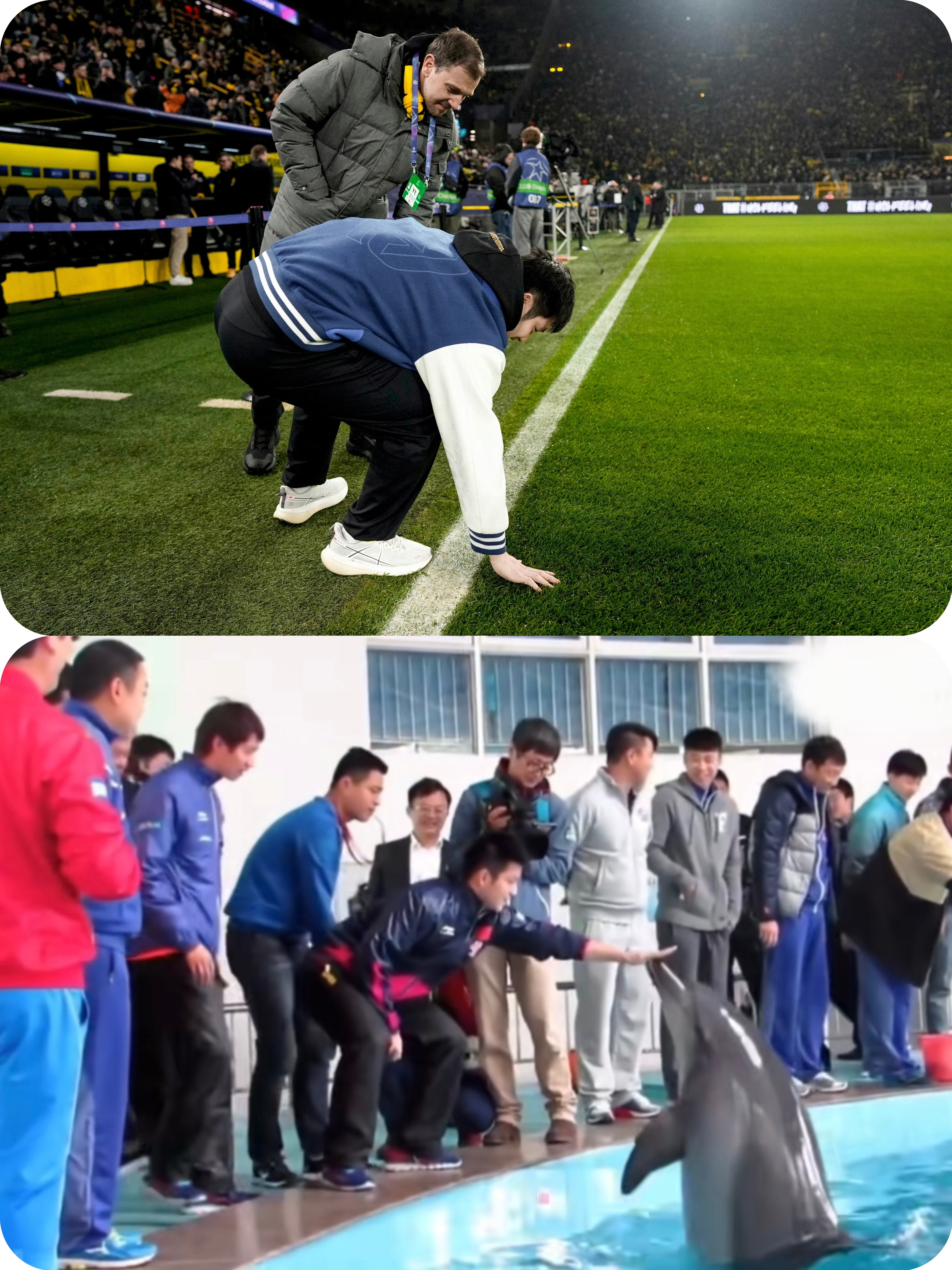 抚摸草坪的那一刻让我想起了小东第一次抚摸海豚🐬时的样子。 