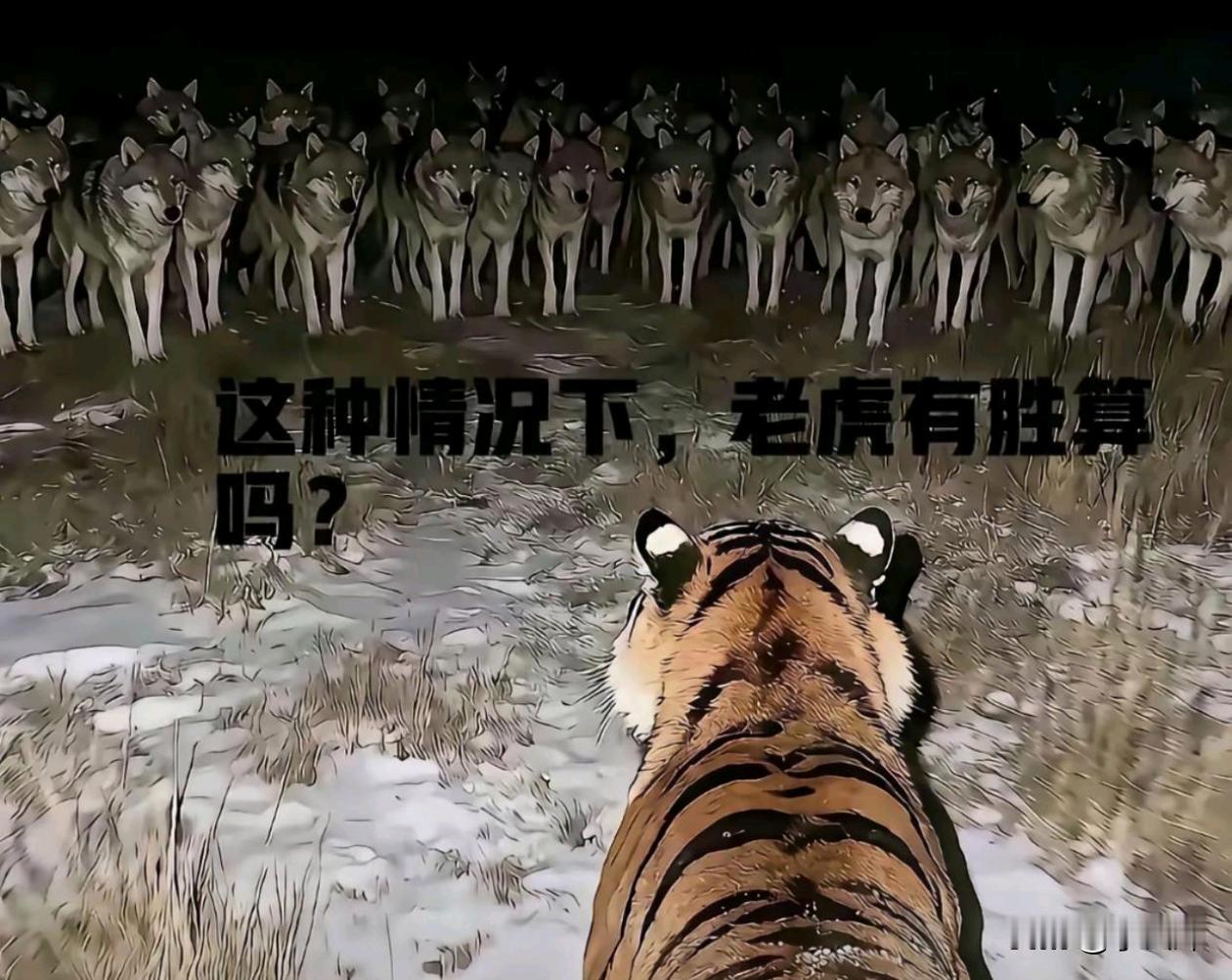 感觉不对抓紧撤退