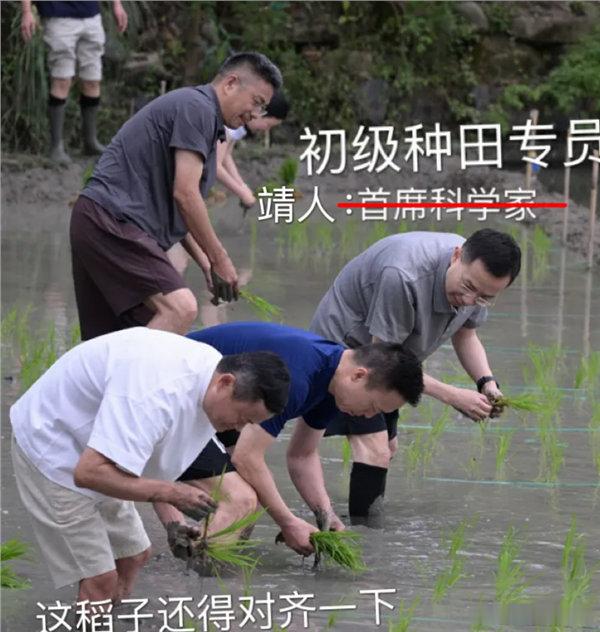 【马云携阿里高管下田插秧 全员挽裤光脚劳作 田间笑容灿烂】马云携阿里高管集体下田