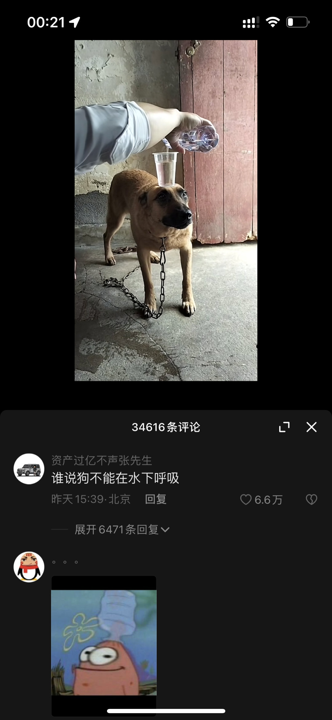 两条评论都好好笑有人能懂吗啊啊啊啊 ​​​