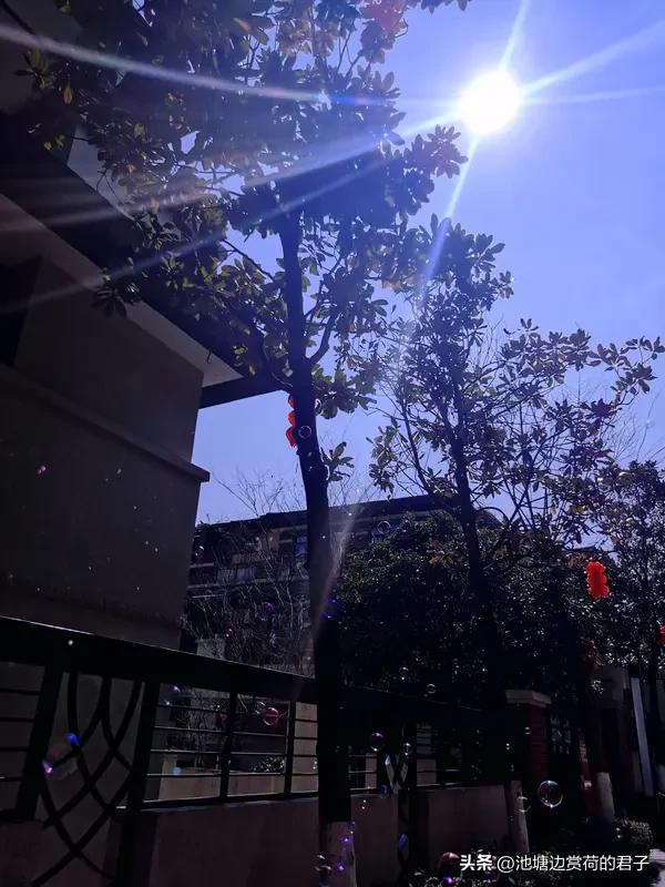 春日阳光，简直是大自然馈赠的宝藏！周末我去公园溜达，那阳光洒在身上，暖洋洋的，感