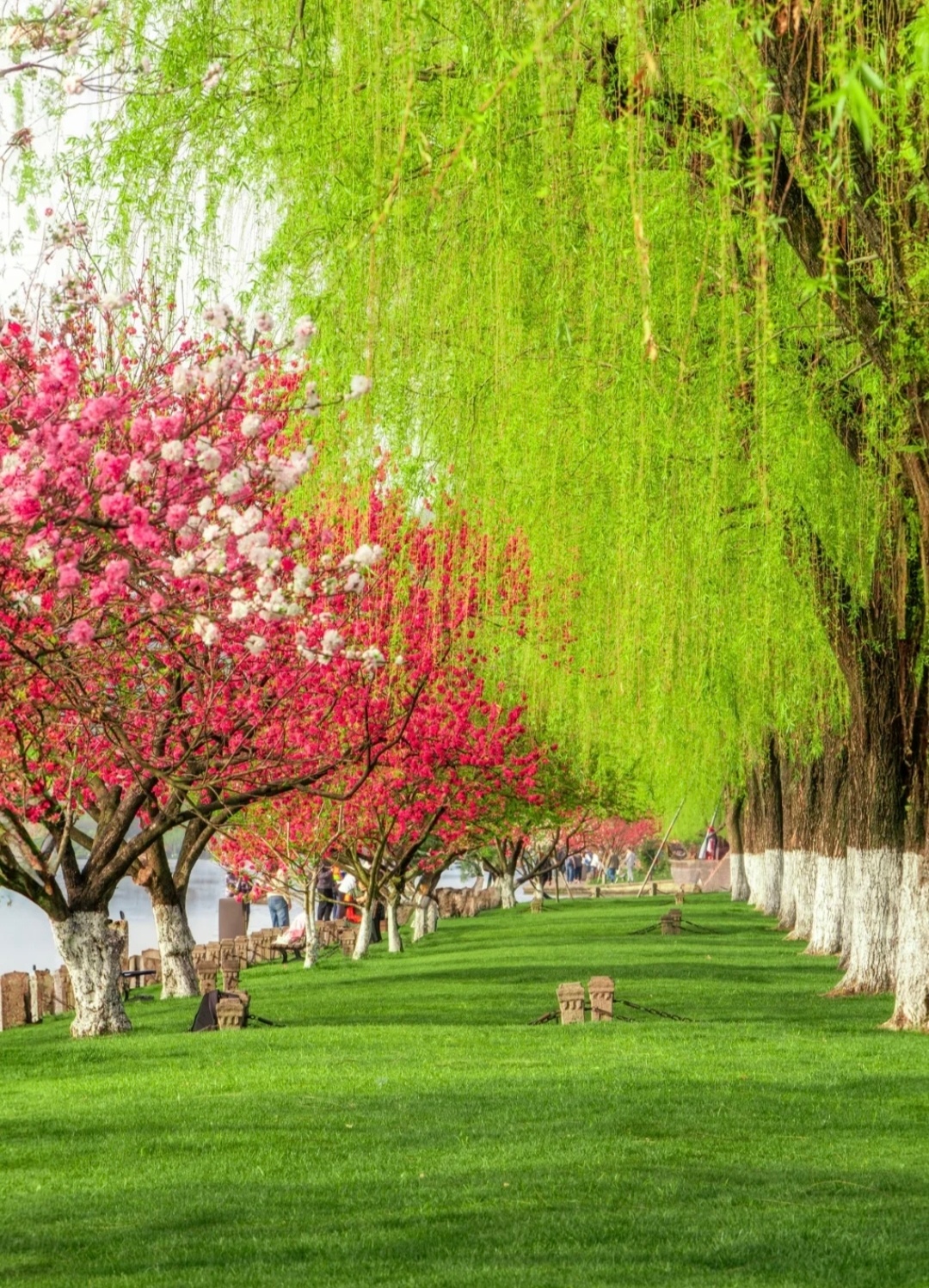 “  莺莺燕燕春春，花花柳柳真真 …  ”  