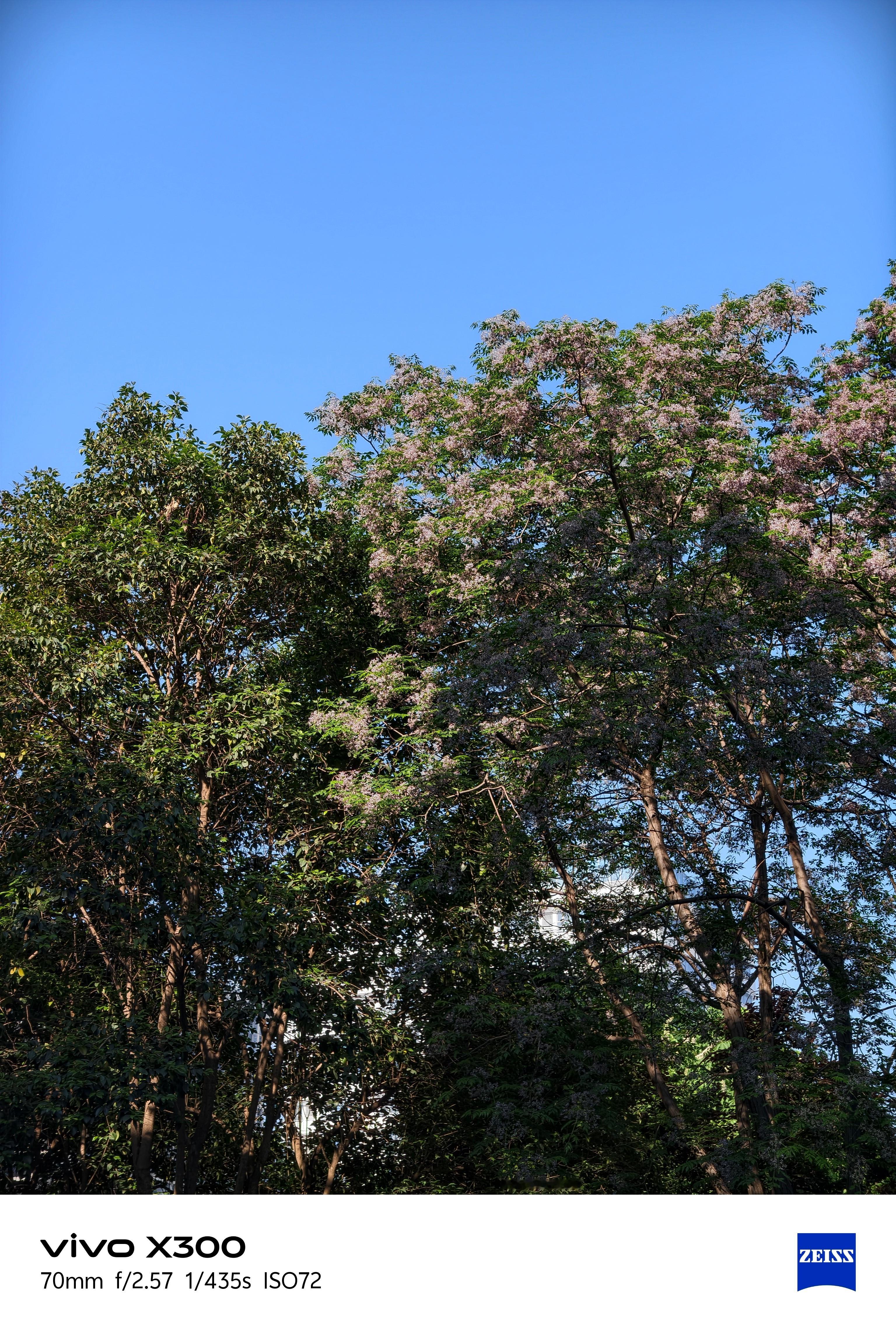 现在有个好天气