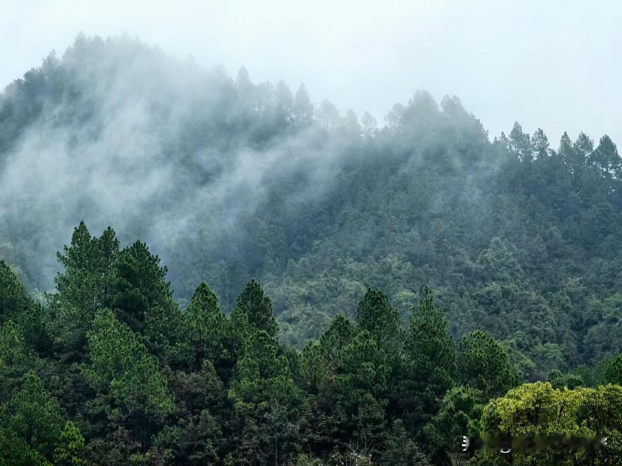 在职场待久了，你会发现，所谓的好领导，标准其实很“俗”，无非就是三个词：扛事、识