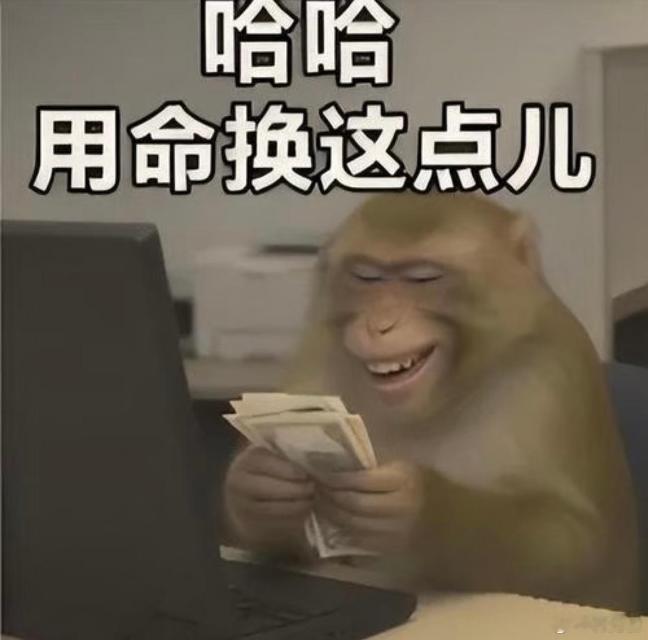 表情包是年轻人的第二语言 