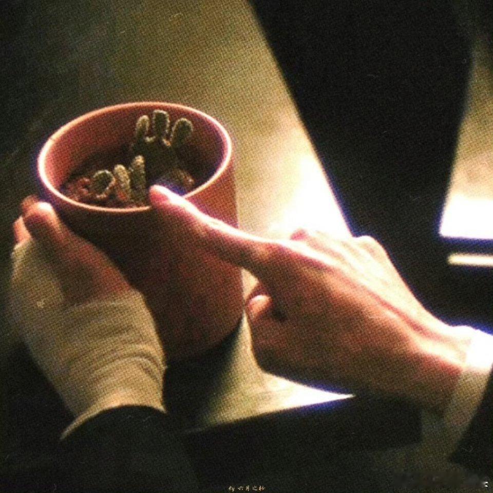 每次看到逸文幸福的模样，都会想到他们两个还没相遇的时候。没遇到顾逸时的梁代文还是