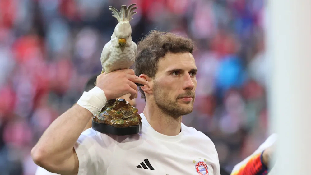 越来越怀疑：此前从餐厅“顺”走鹦鹉饰品的拜仁球员，就是格雷茨卡！拜仁慕尼黑拜仁提