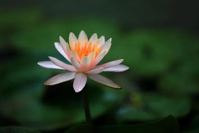 本心本具，自性寂然。
找是妄求，恰如水中捞月，是找不着的。
心澄自明，心通自觉。