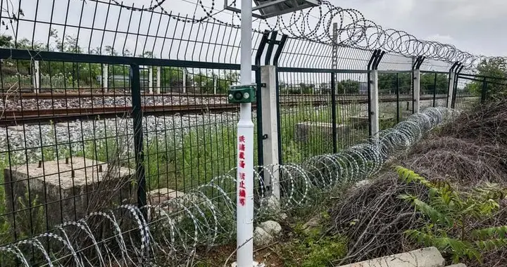 防范野猪侵扰铁路，虎尿成奇招
