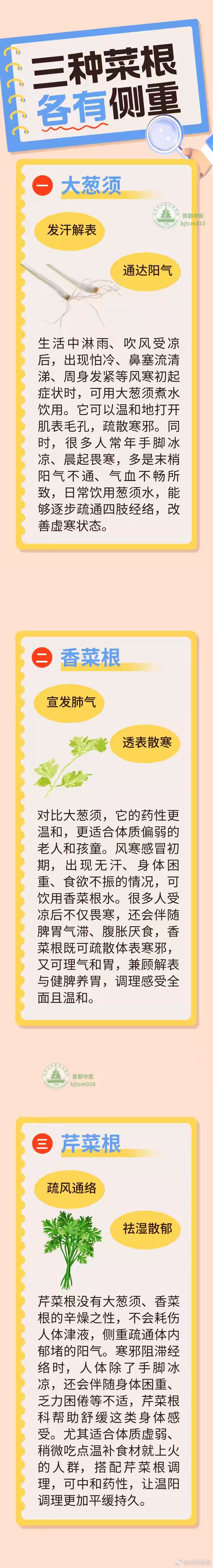 被丢掉的菜根，竟是天然“还阳草”！这三种菜根煮水喝，温和疏通阳气诸菜之根，最善通