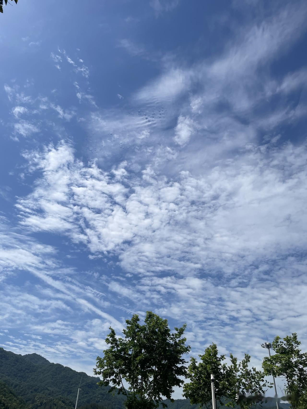 今日蓝天白云，热起来了，夏天真大到了。