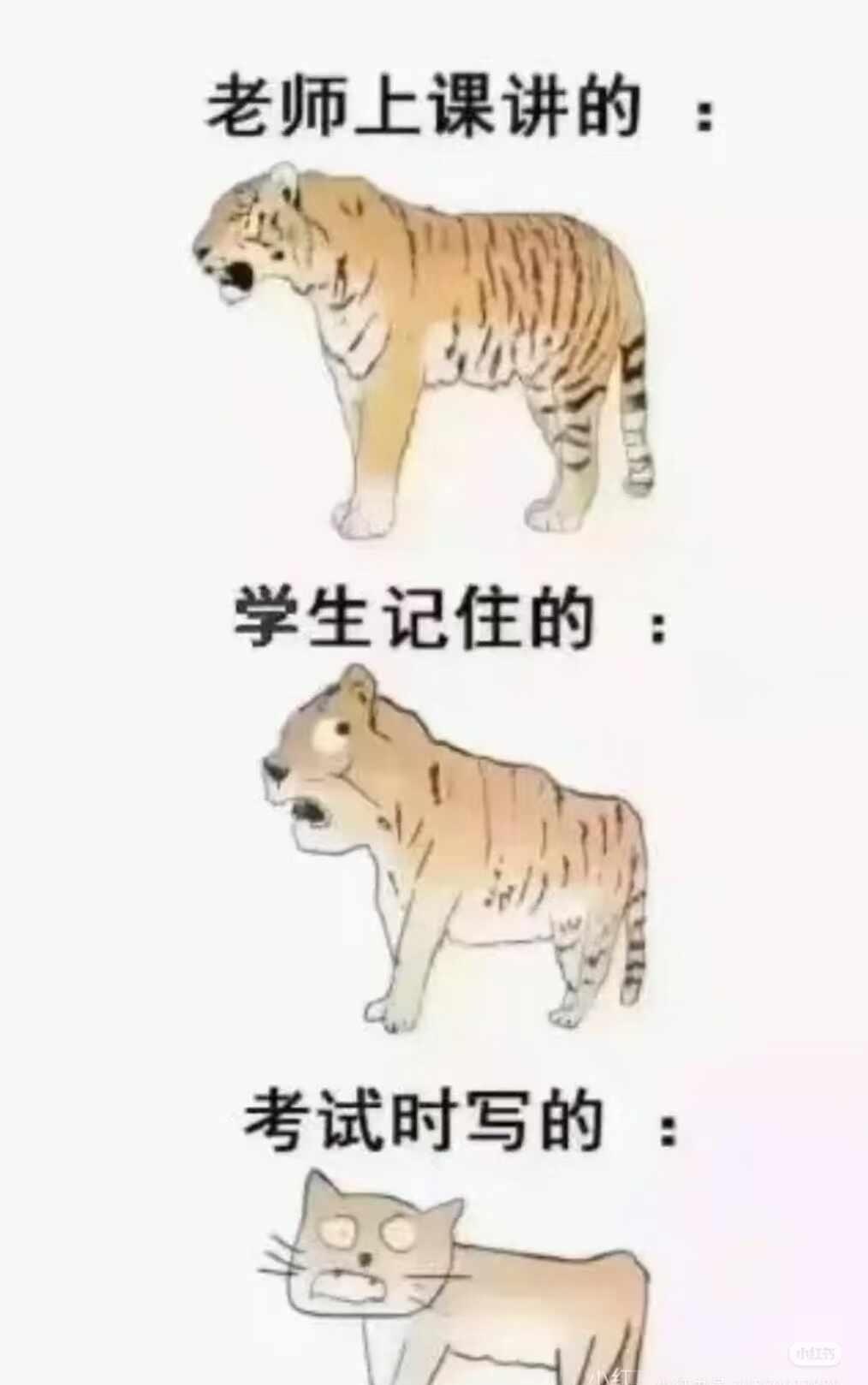 梗图爆料
此图有梗 梗图 人间真实 图片仅供娱乐 定格有梗瞬间 有点离谱但又合理