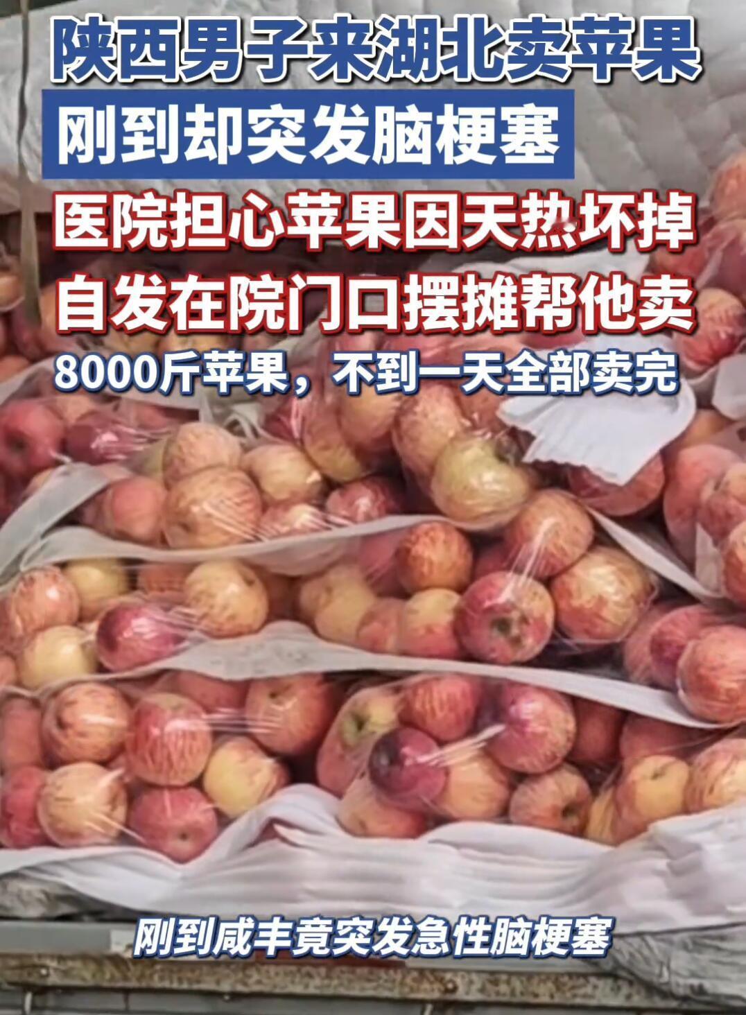 这事儿看着真暖心。陕西洋县44岁的吉师傅，五一期间拉了8000多斤苹果，大老远开