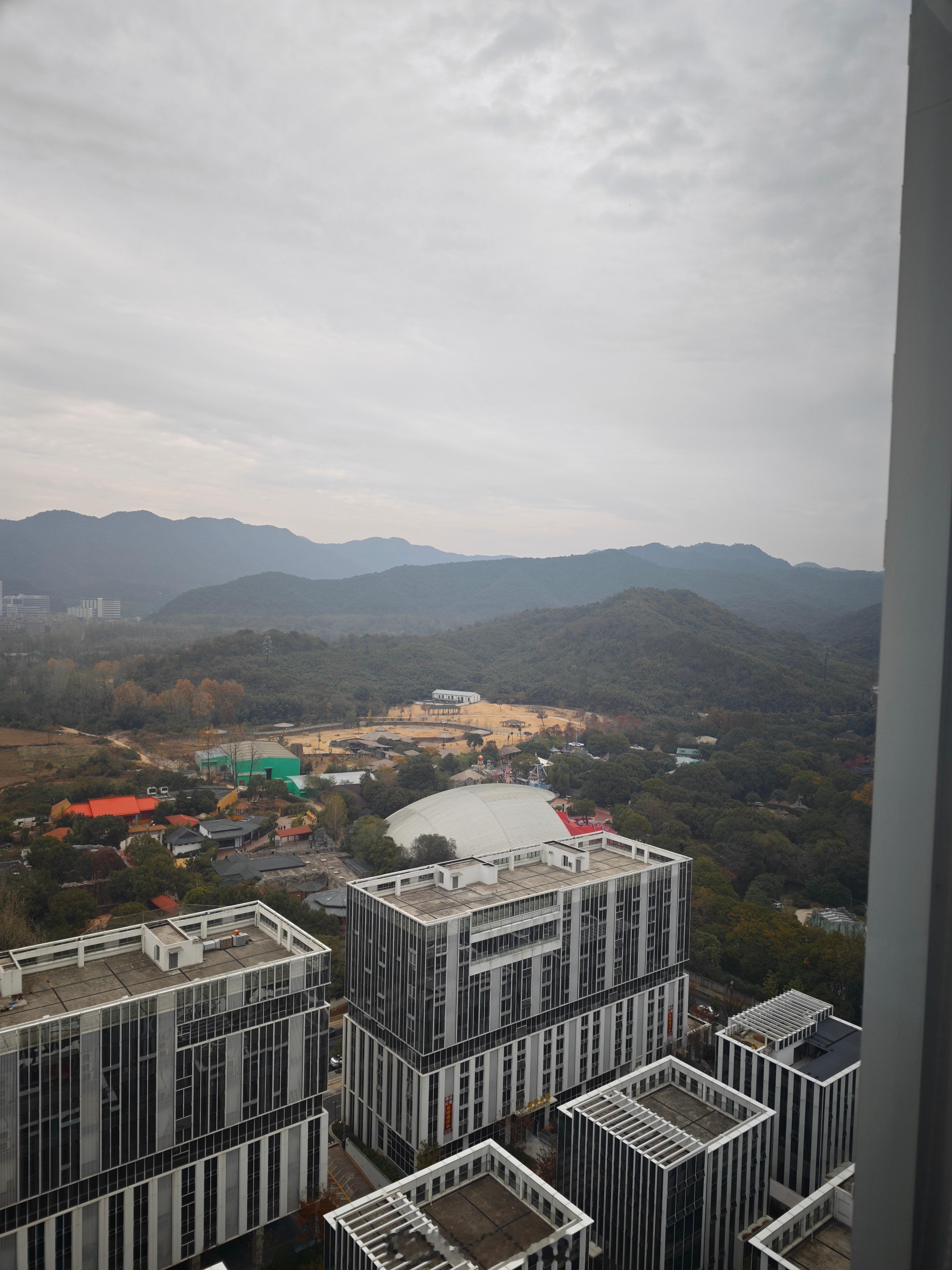 斑马在小米17的相机算法下面变异了我在办公室就能看到大象和斑马刚想拍个照和朋友分