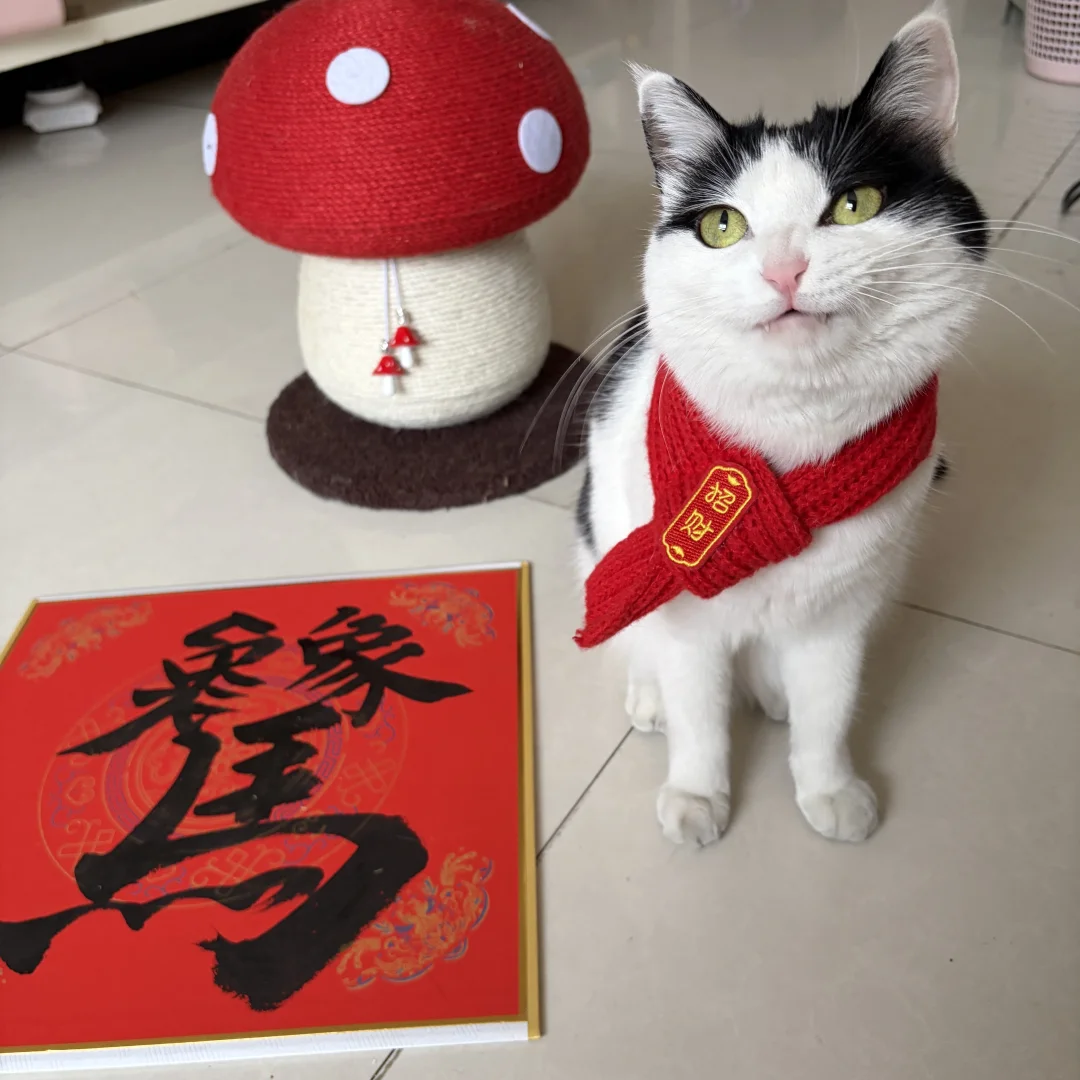 邪恶坏笑咪祝您马上有对象